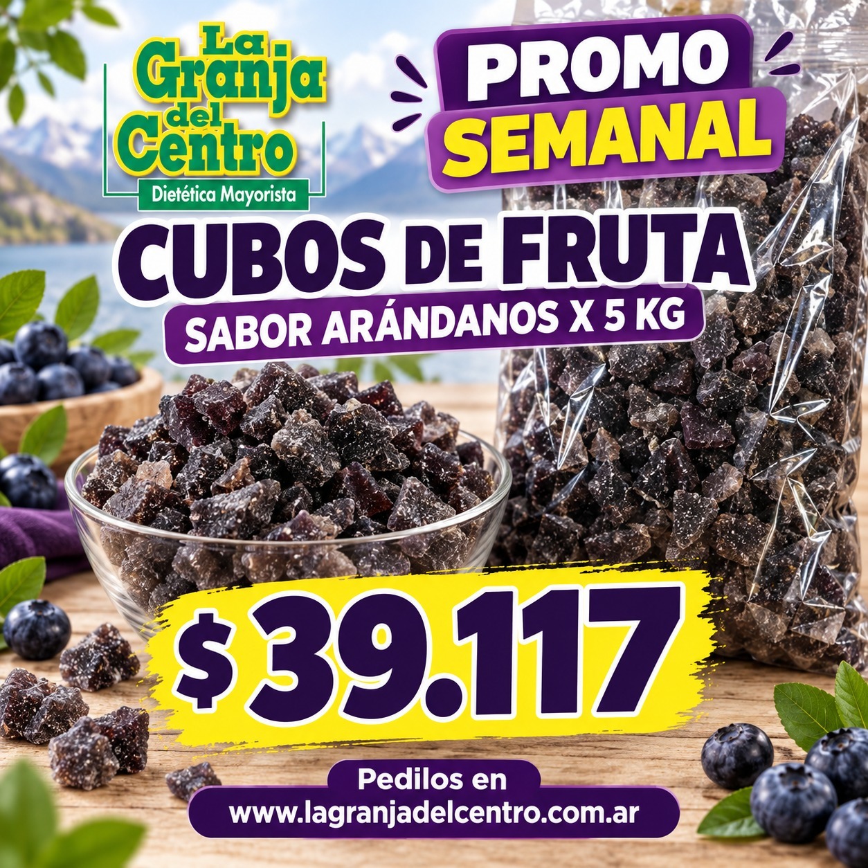 Ofertas y Promociones CUBOS DE FRUTA SABOR ARANDANOS X 5 KG promo semanal